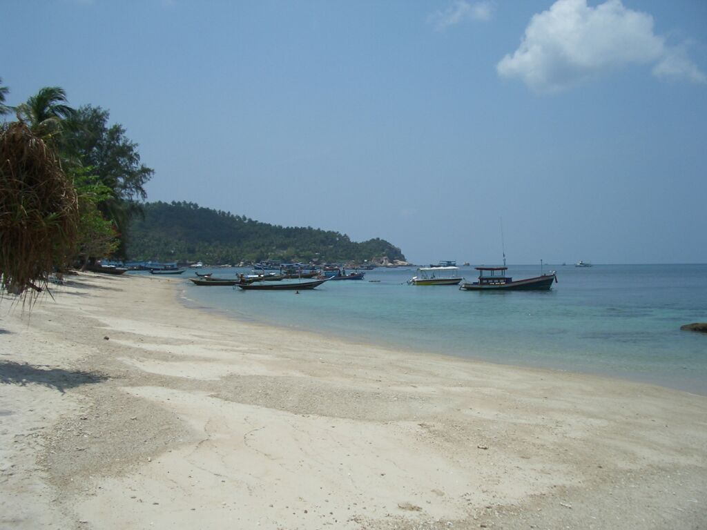 Click to See Next Image